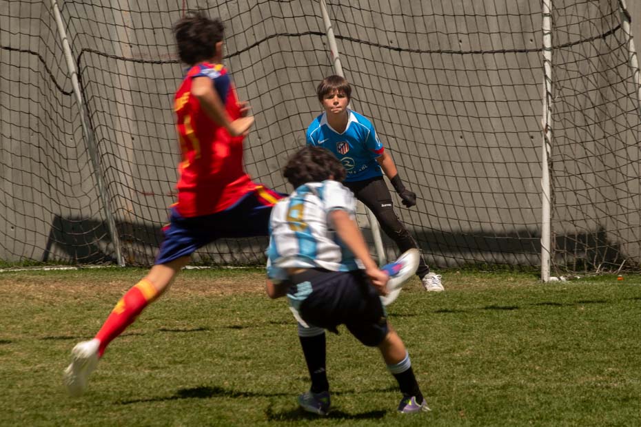 Ir a la Siguiente Foto