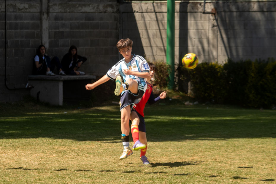 Ir a la Siguiente Foto