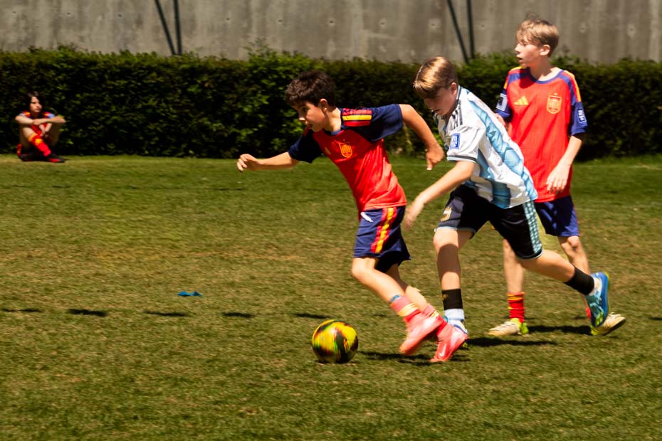 Ir a la Siguiente Foto