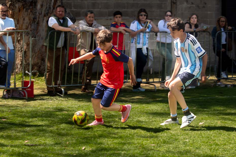 Ir a la Siguiente Foto