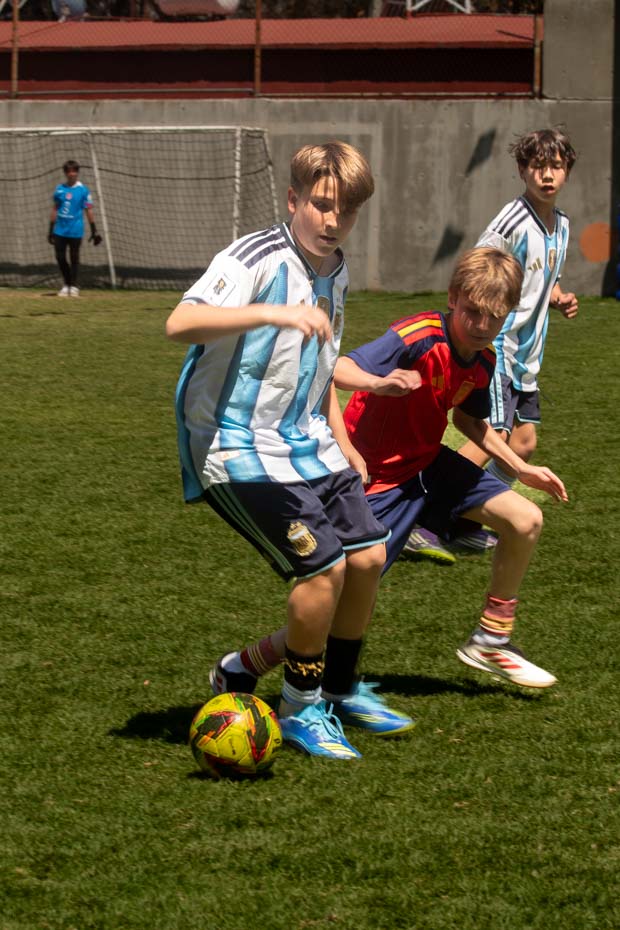 Ir a la Siguiente Foto