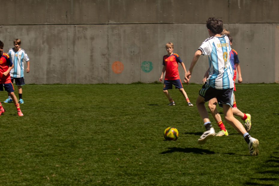 Ir a la Siguiente Foto