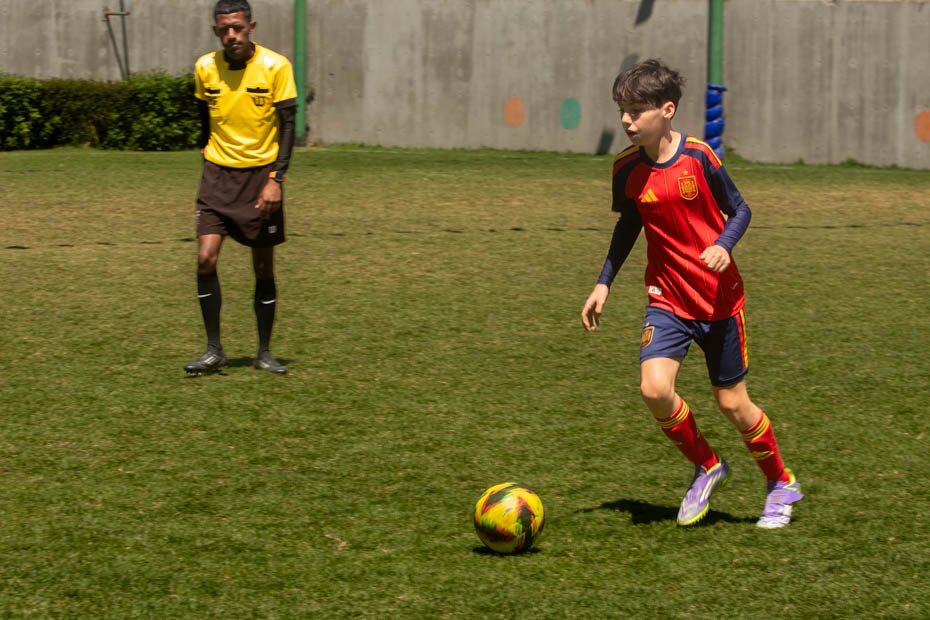 Ir a la Siguiente Foto