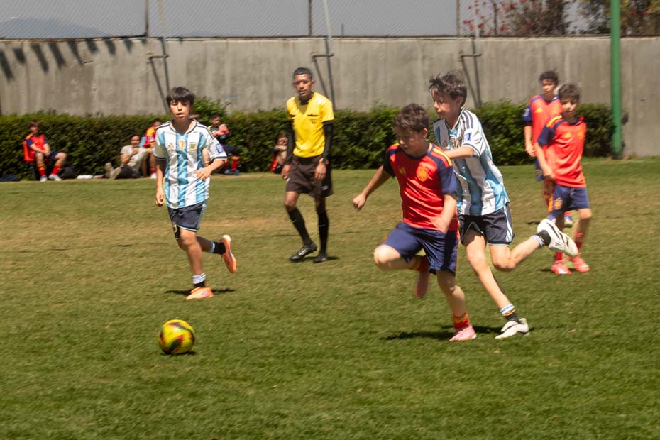 Ir a la Siguiente Foto