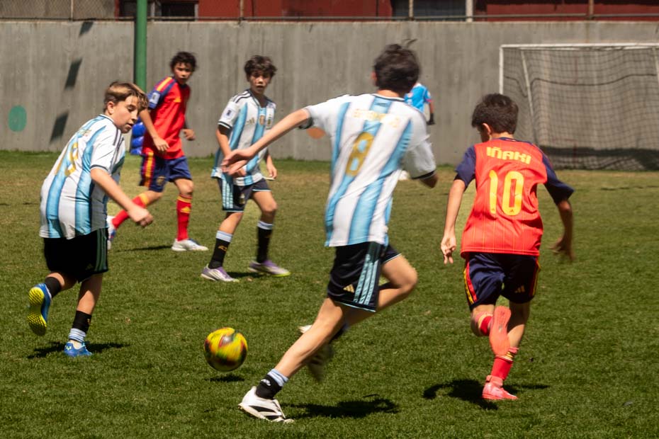 Ir a la Siguiente Foto