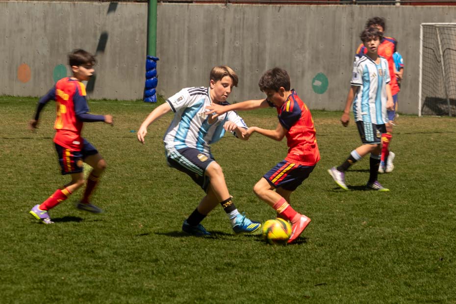 Ir a la Siguiente Foto