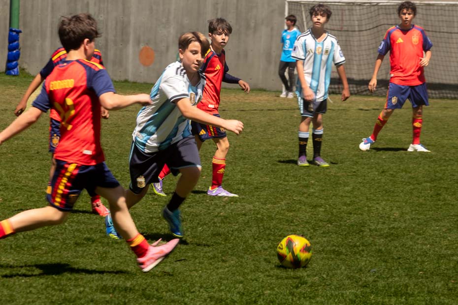 Ir a la Siguiente Foto