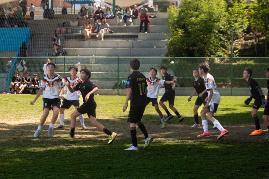 Ir a la Siguiente Foto