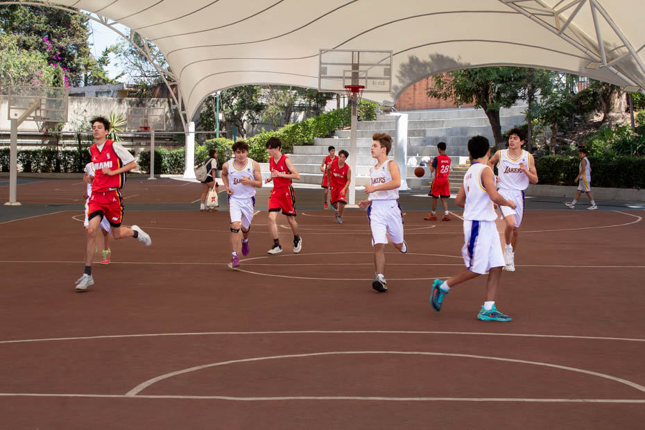 Ir a la Siguiente Foto