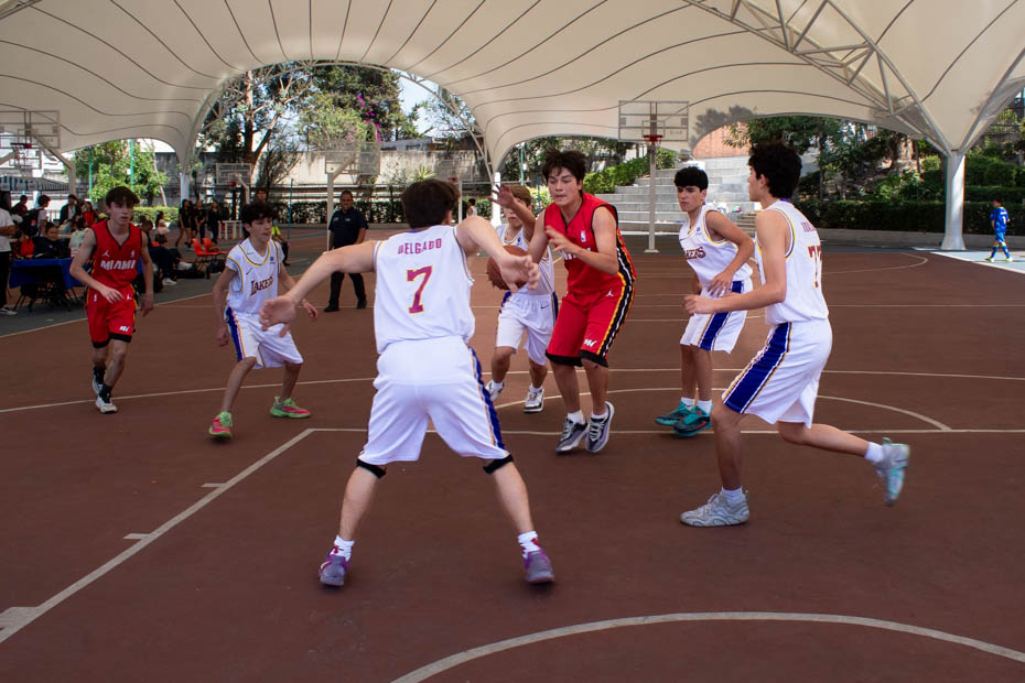 Ir a la Siguiente Foto