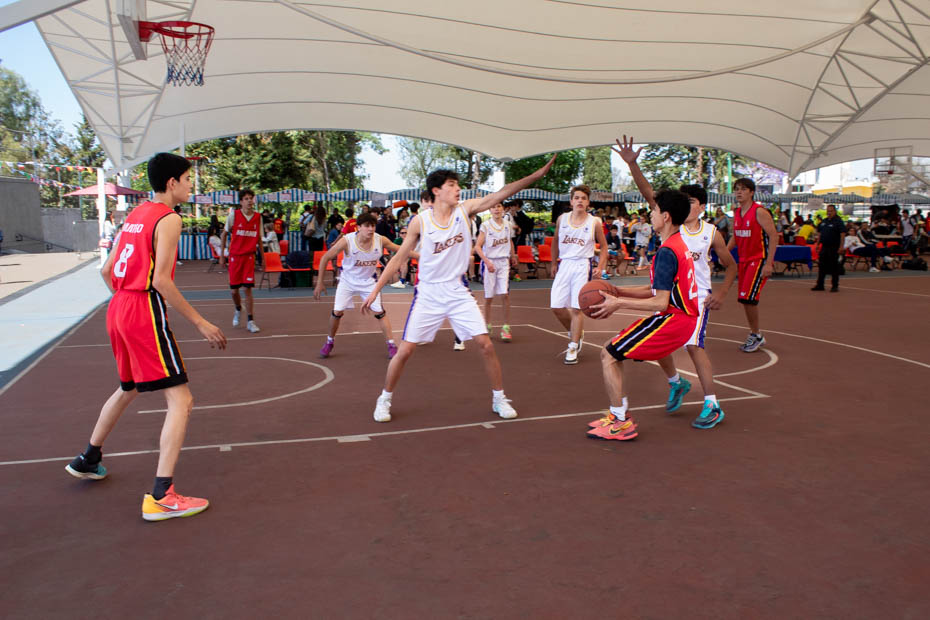 Ir a la Siguiente Foto