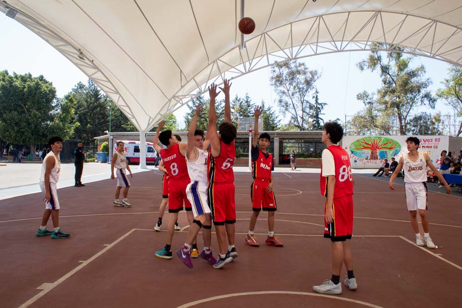 Ir a la Siguiente Foto