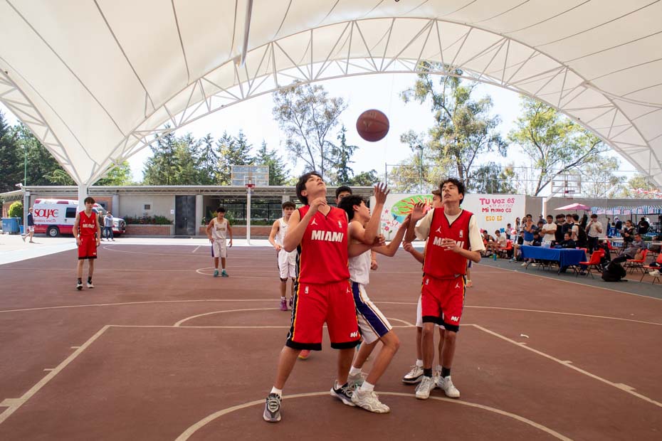 Ir a la Siguiente Foto