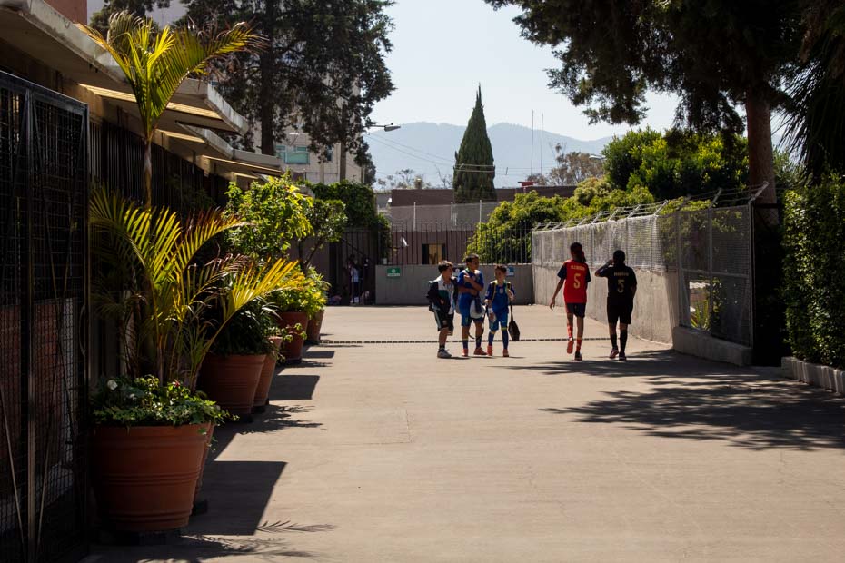 Ir a la Siguiente Foto