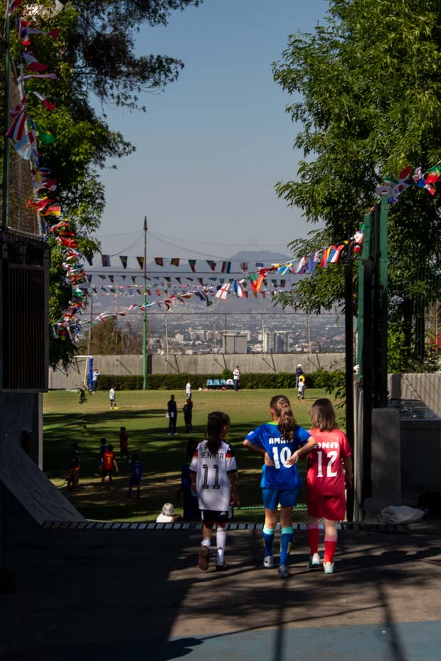 Ir a la Siguiente Foto