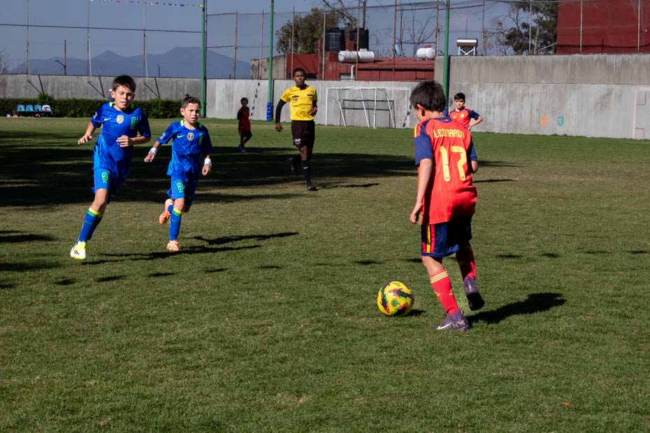 Ir a la Siguiente Foto