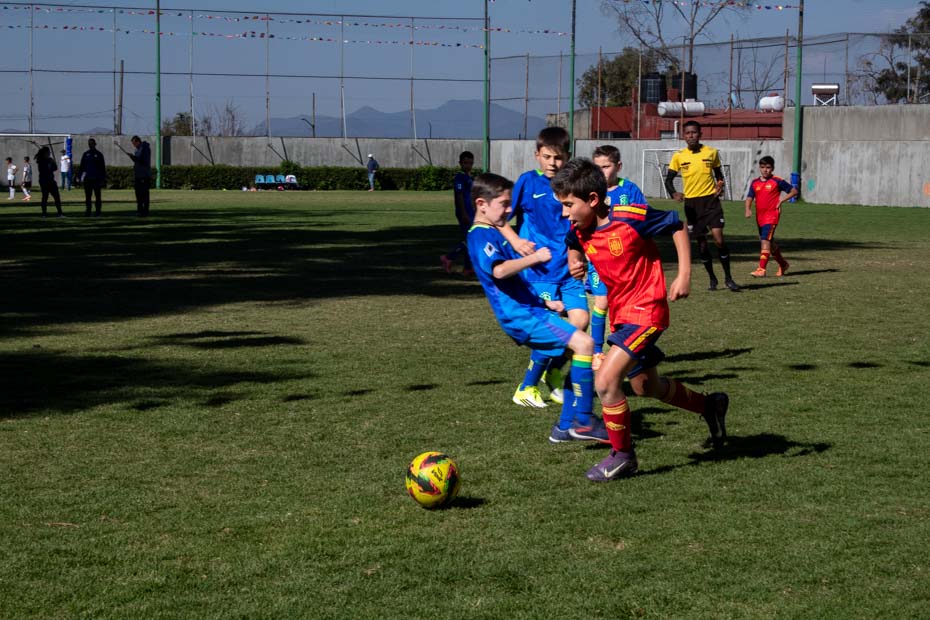 Ir a la Siguiente Foto