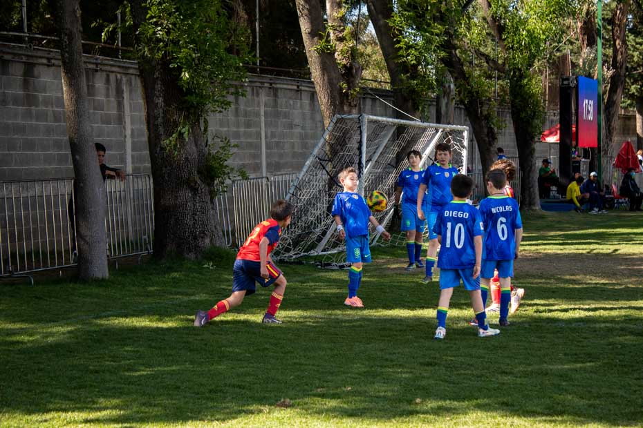 Ir a la Siguiente Foto