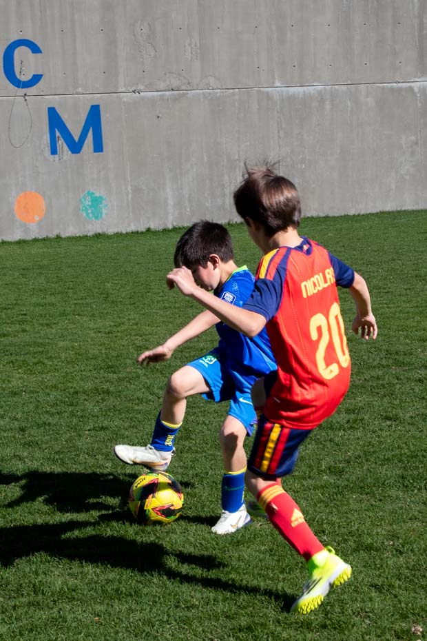 Ir a la Siguiente Foto