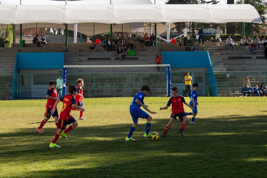 Ir a la Siguiente Foto