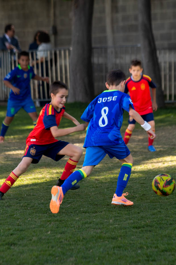 Ir a la Siguiente Foto