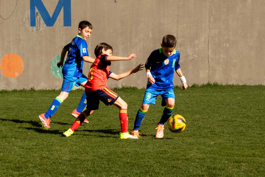 Ir a la Siguiente Foto