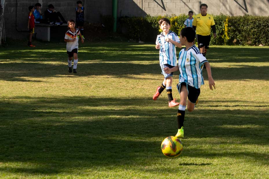 Ir a la Siguiente Foto