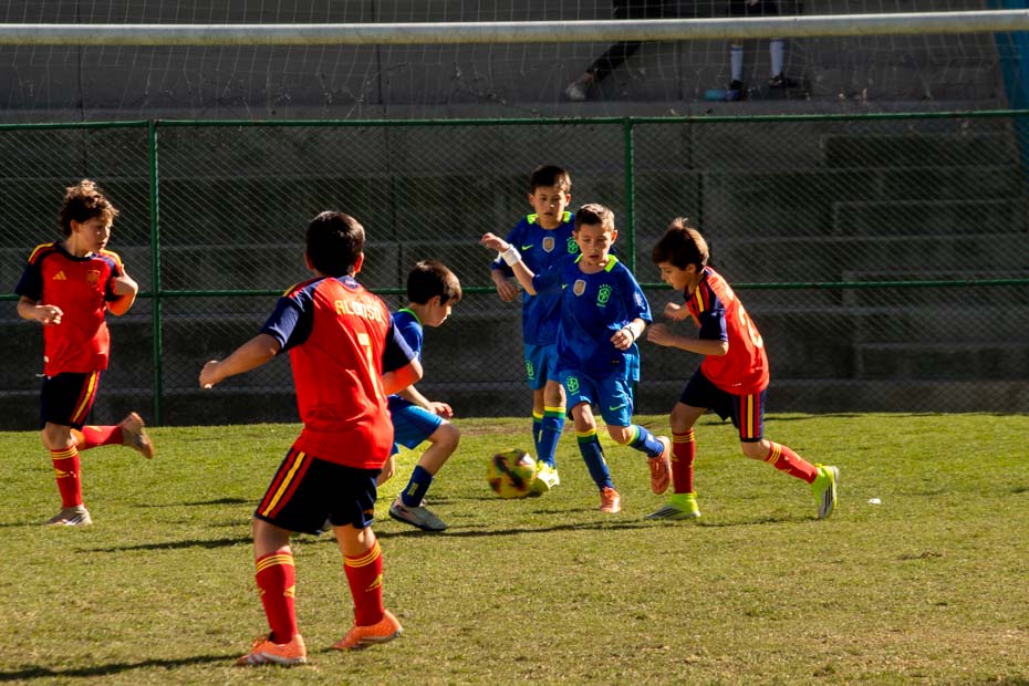 Ir a la Siguiente Foto