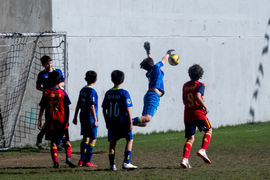 Ir a la Siguiente Foto