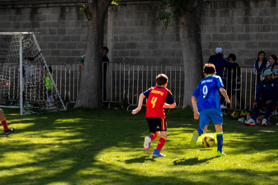 Ir a la Siguiente Foto