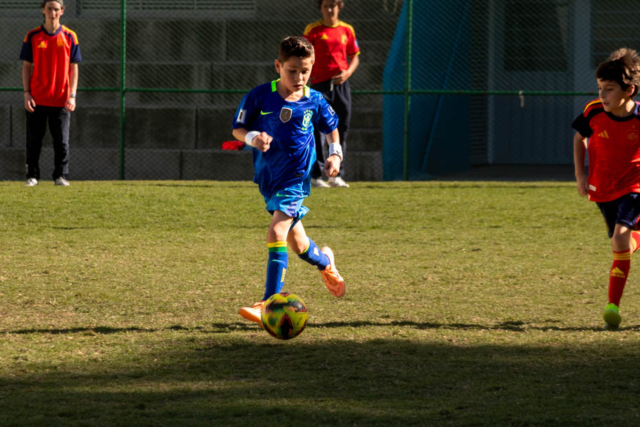 Ir a la Siguiente Foto