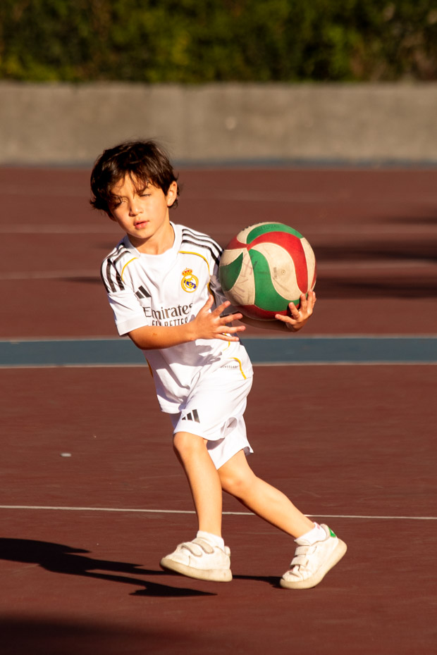 Ir a la Siguiente Foto