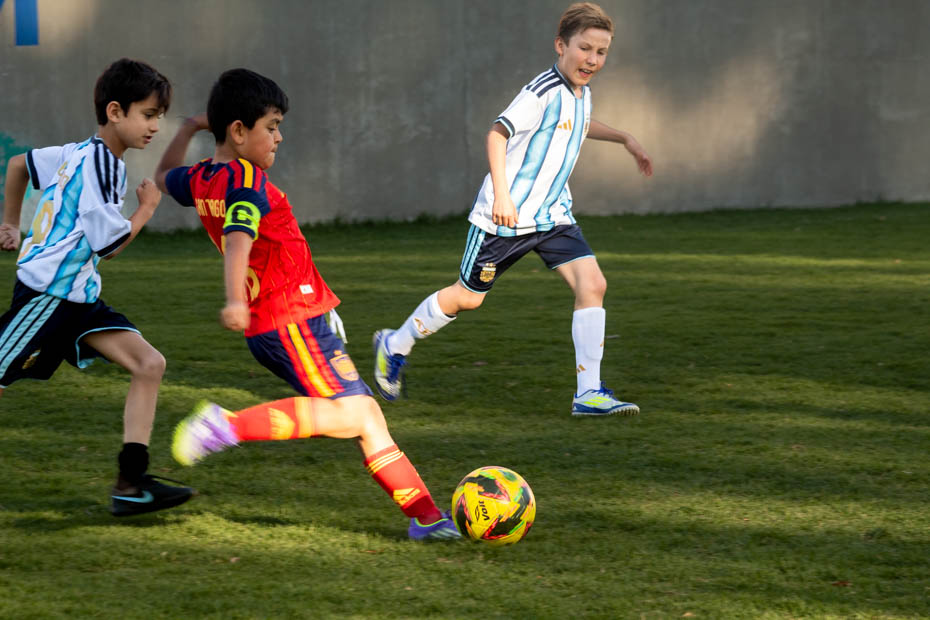 Ir a la Siguiente Foto