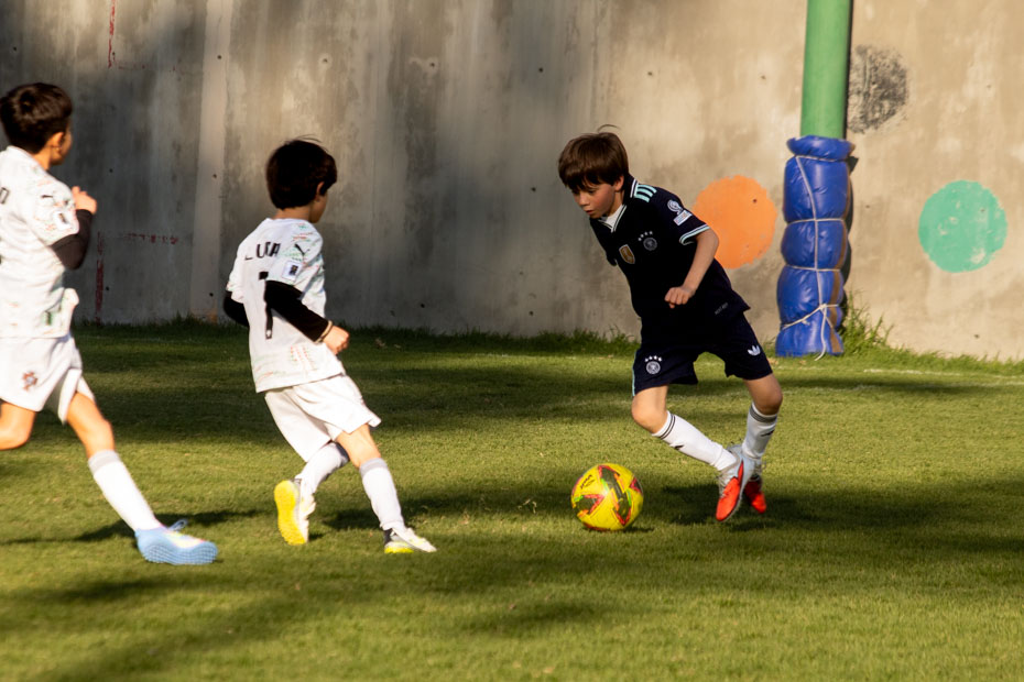 Ir a la Siguiente Foto