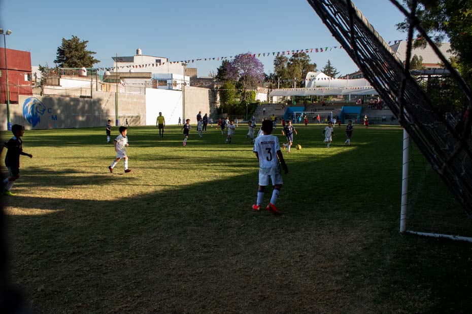 Ir a la Siguiente Foto