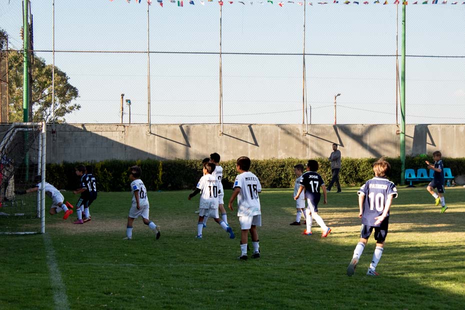 Ir a la Siguiente Foto