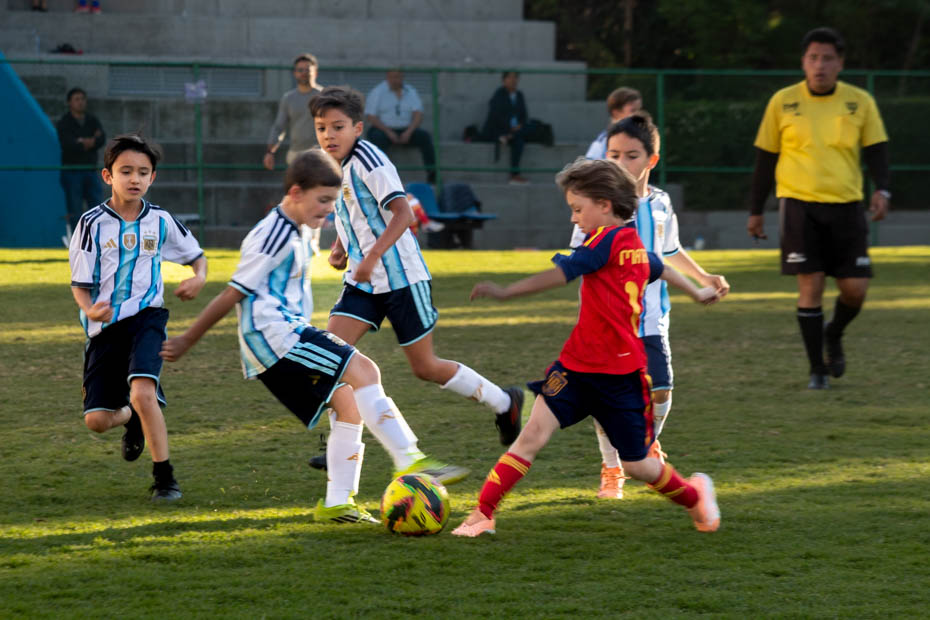 Ir a la Siguiente Foto