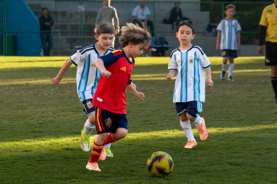 Ir a la Siguiente Foto