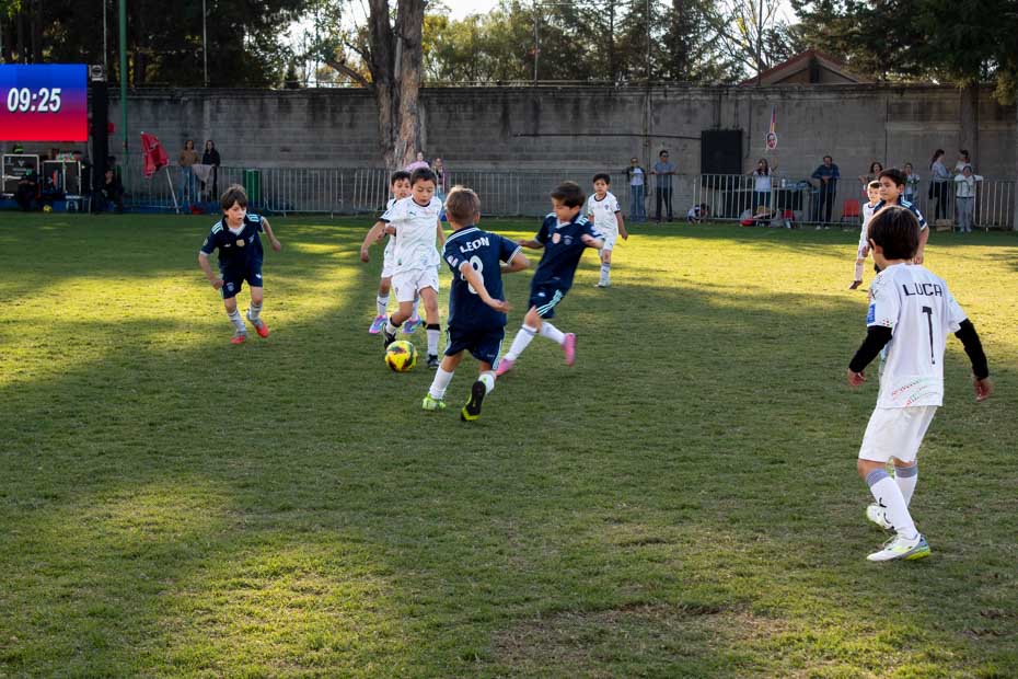 Ir a la Siguiente Foto