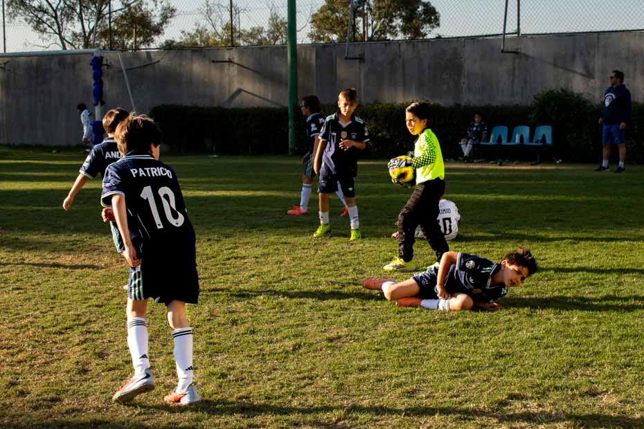 Ir a la Siguiente Foto