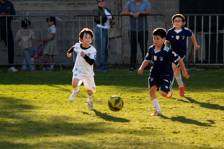 Ir a la Siguiente Foto