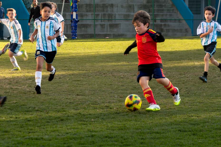 Ir a la Siguiente Foto