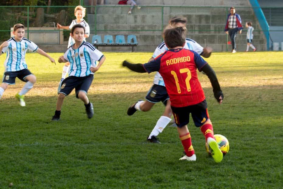 Ir a la Siguiente Foto