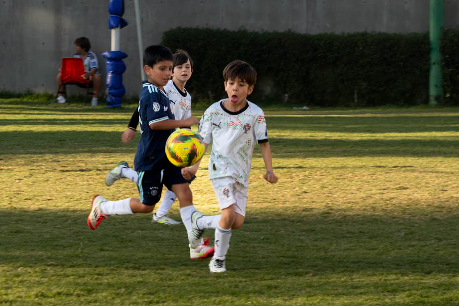 Ir a la Siguiente Foto