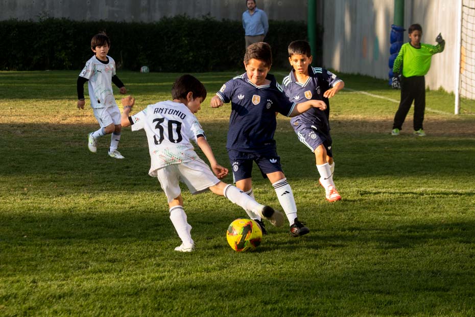 Ir a la Siguiente Foto