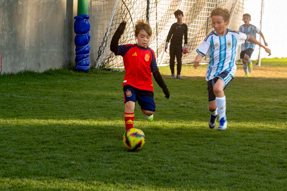 Ir a la Siguiente Foto