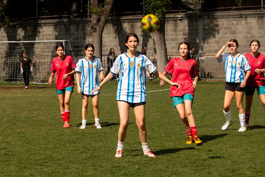 Ir a la Siguiente Foto