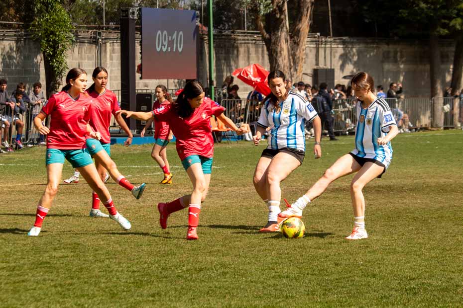 Ir a la Siguiente Foto