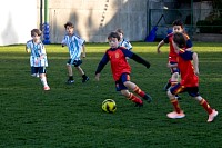 19032026mundialito2026_juegos641.jpg