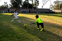 25032026mundialito2026_juegos2629.jpg